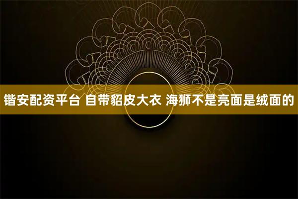 锴安配资平台 自带貂皮大衣 海狮不是亮面是绒面的