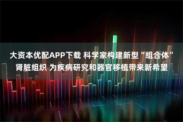 大资本优配APP下载 科学家构建新型“组合体”肾脏组织 为疾病研究和器官移植带来新希望