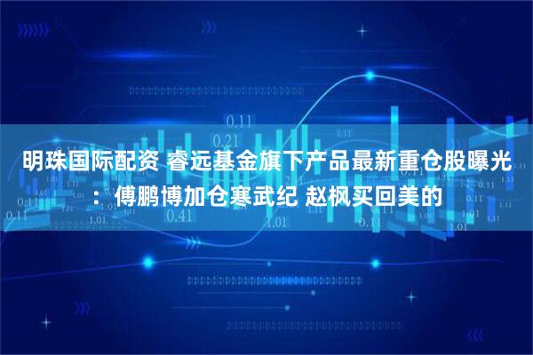 明珠国际配资 睿远基金旗下产品最新重仓股曝光:傅鹏博加仓寒武纪 赵枫买回美的