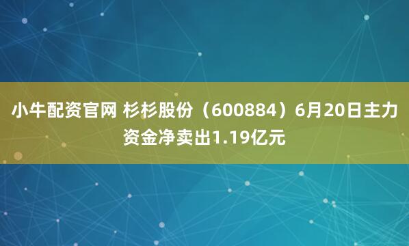 小牛配资官网 杉杉股份（600884）6月20日主力资金净卖出1.19亿元